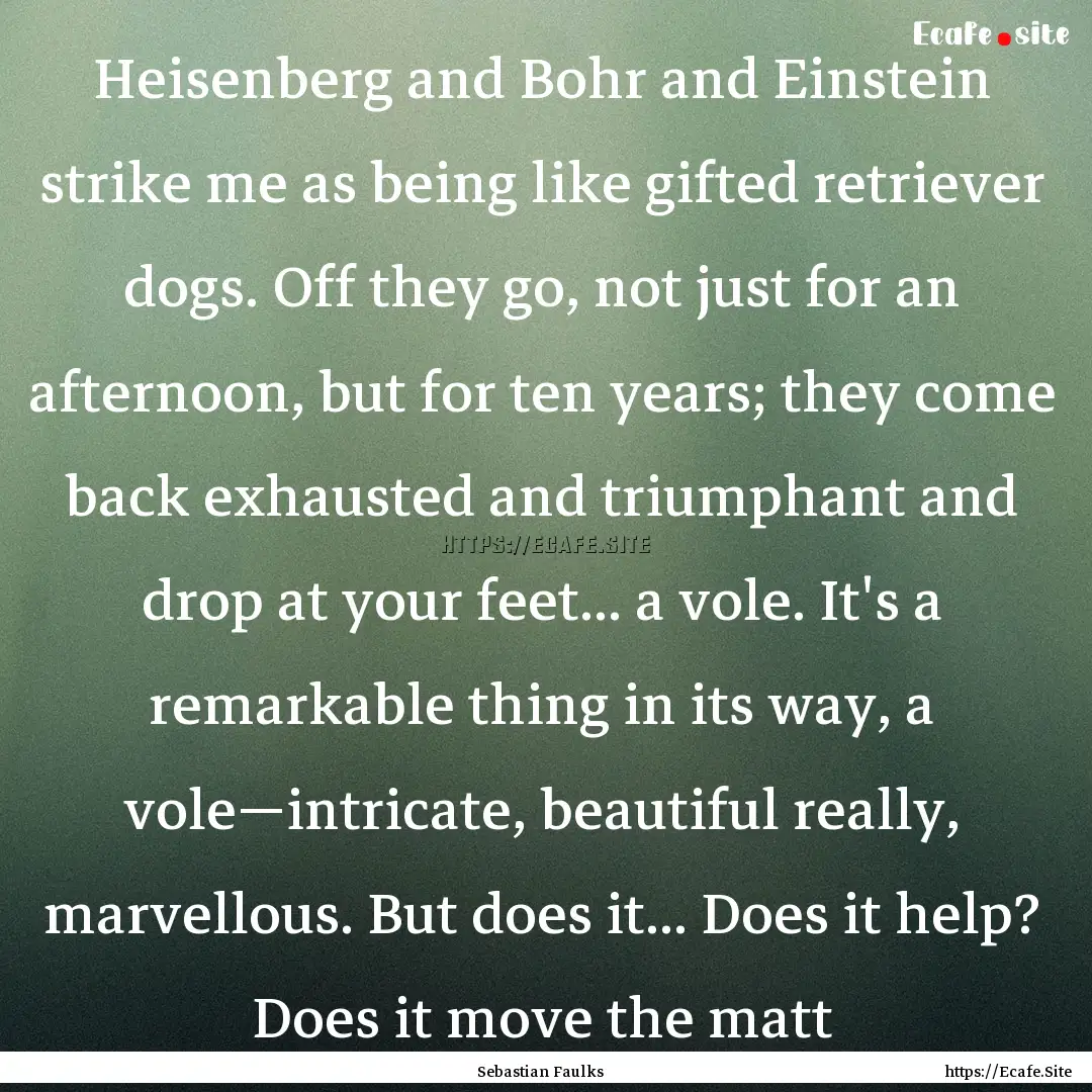 Heisenberg and Bohr and Einstein strike me.... : Quote by Sebastian Faulks