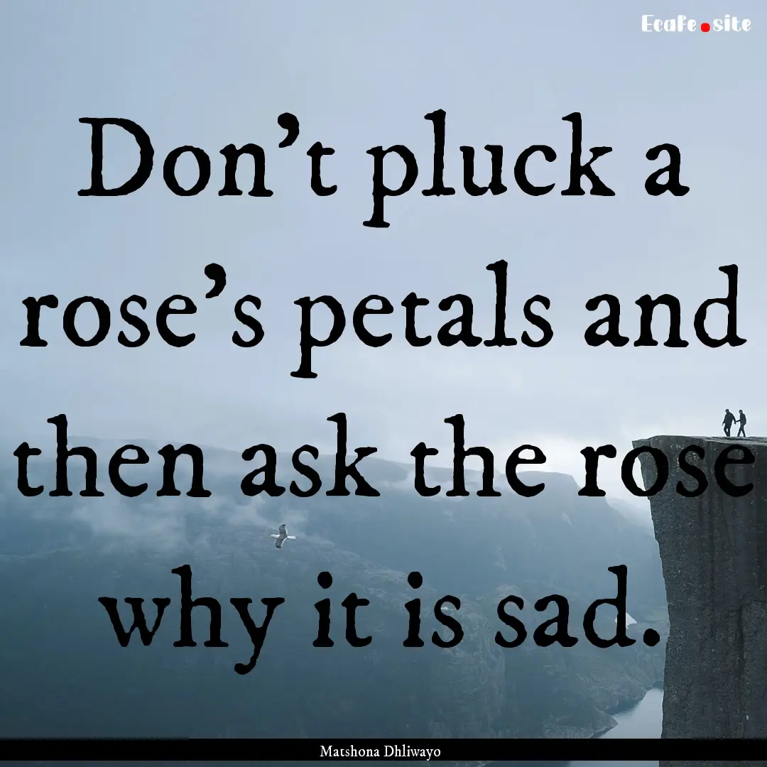 Don't pluck a rose's petals and then ask.... : Quote by Matshona Dhliwayo