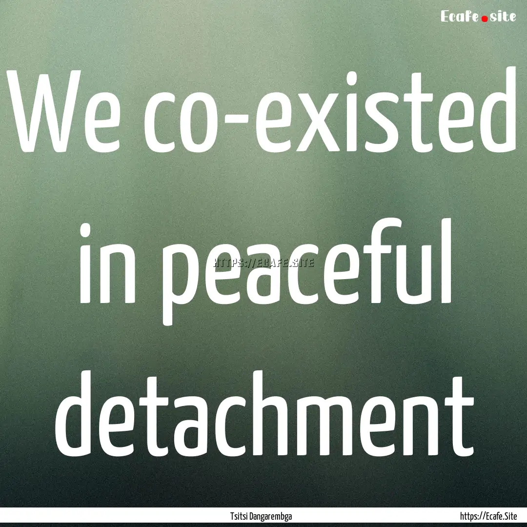 We co-existed in peaceful detachment : Quote by Tsitsi Dangarembga