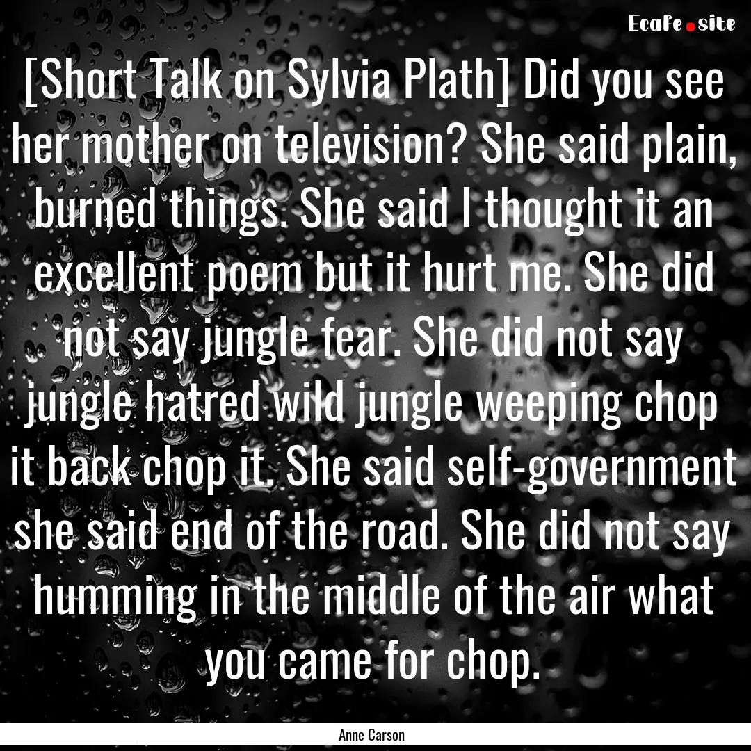 [Short Talk on Sylvia Plath] Did you see.... : Quote by Anne Carson