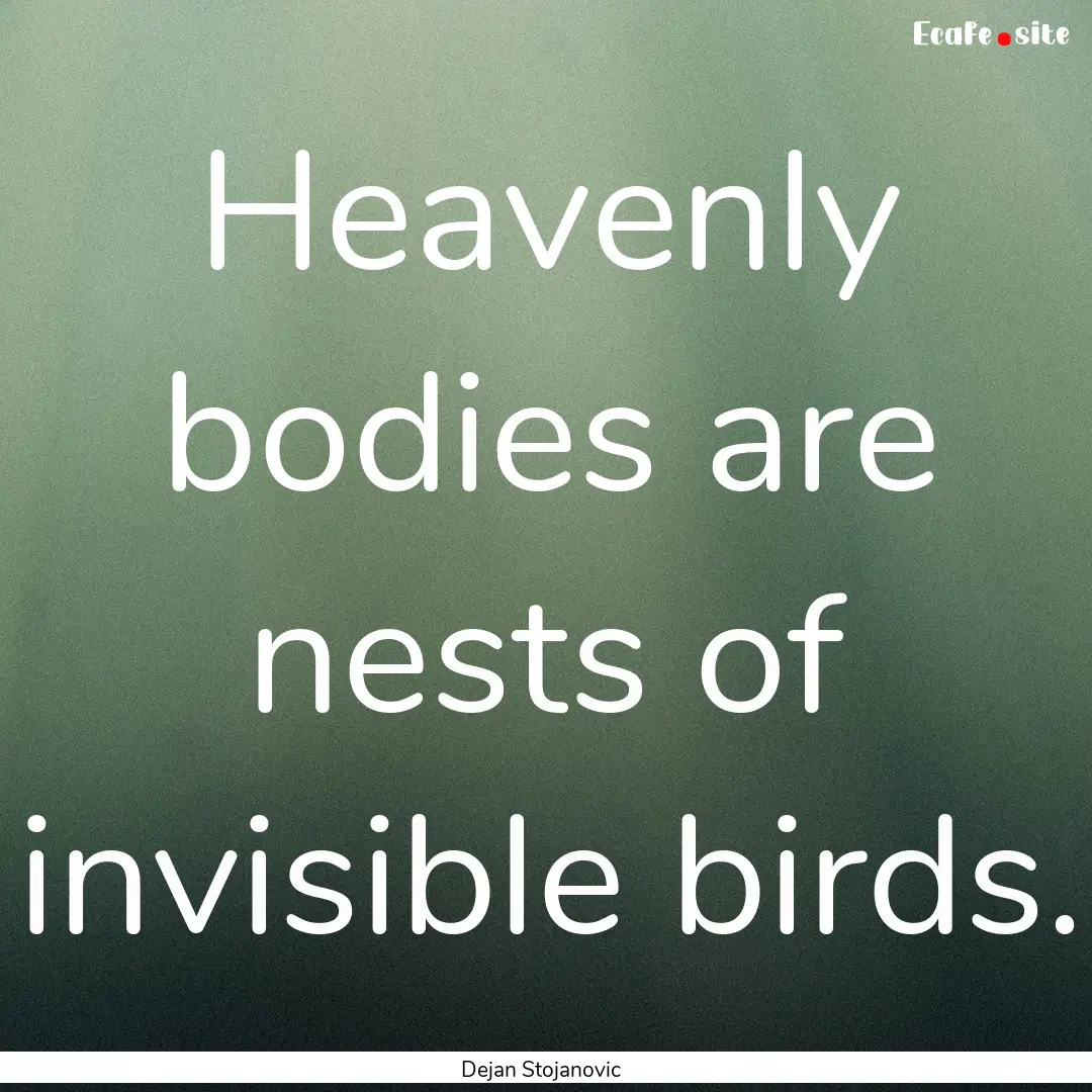 Heavenly bodies are nests of invisible birds..... : Quote by Dejan Stojanovic