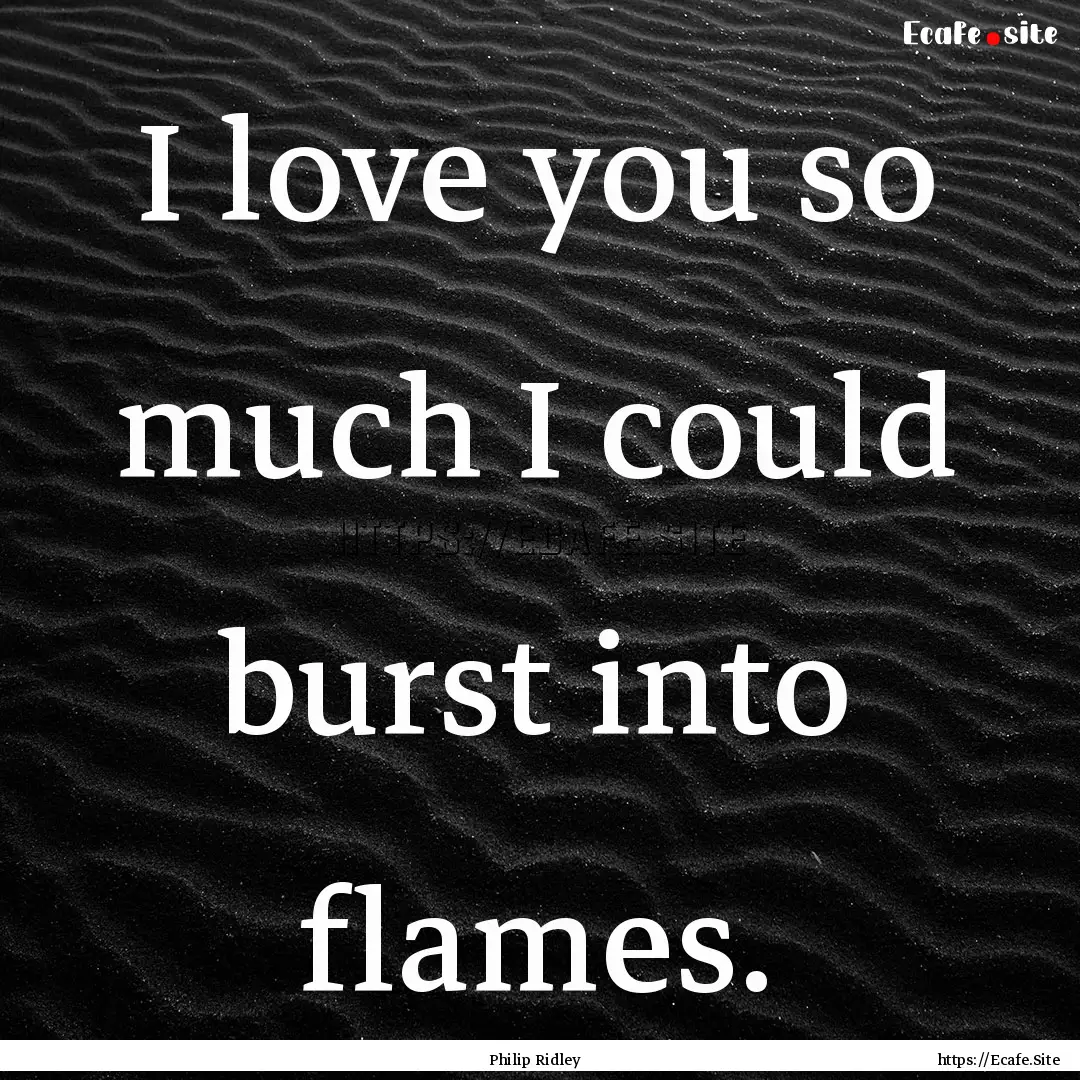 I love you so much I could burst into flames..... : Quote by Philip Ridley