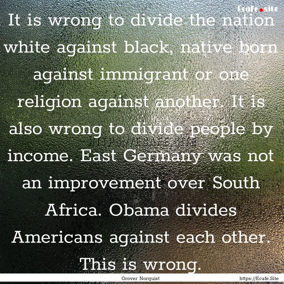 It is wrong to divide the nation white against.... : Quote by Grover Norquist