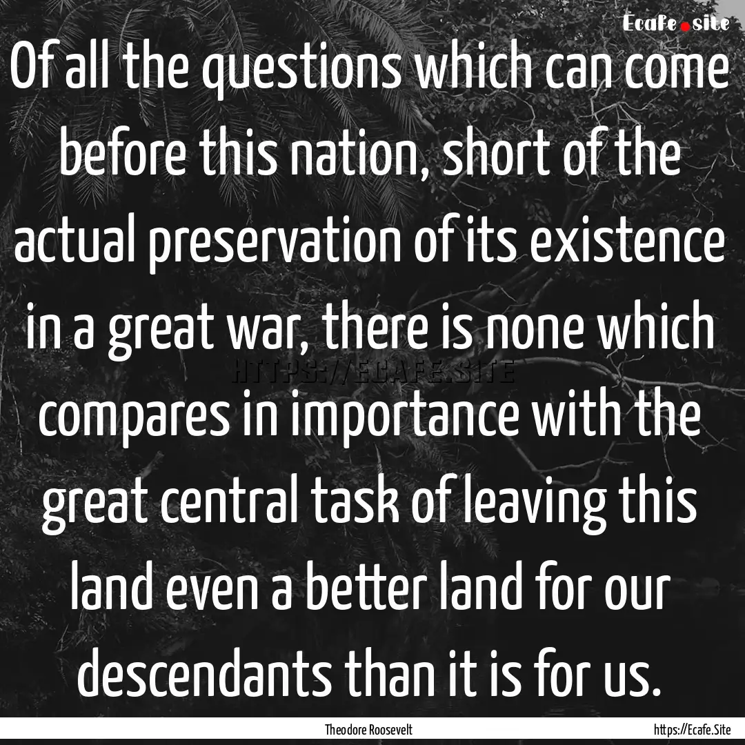 Of all the questions which can come before.... : Quote by Theodore Roosevelt