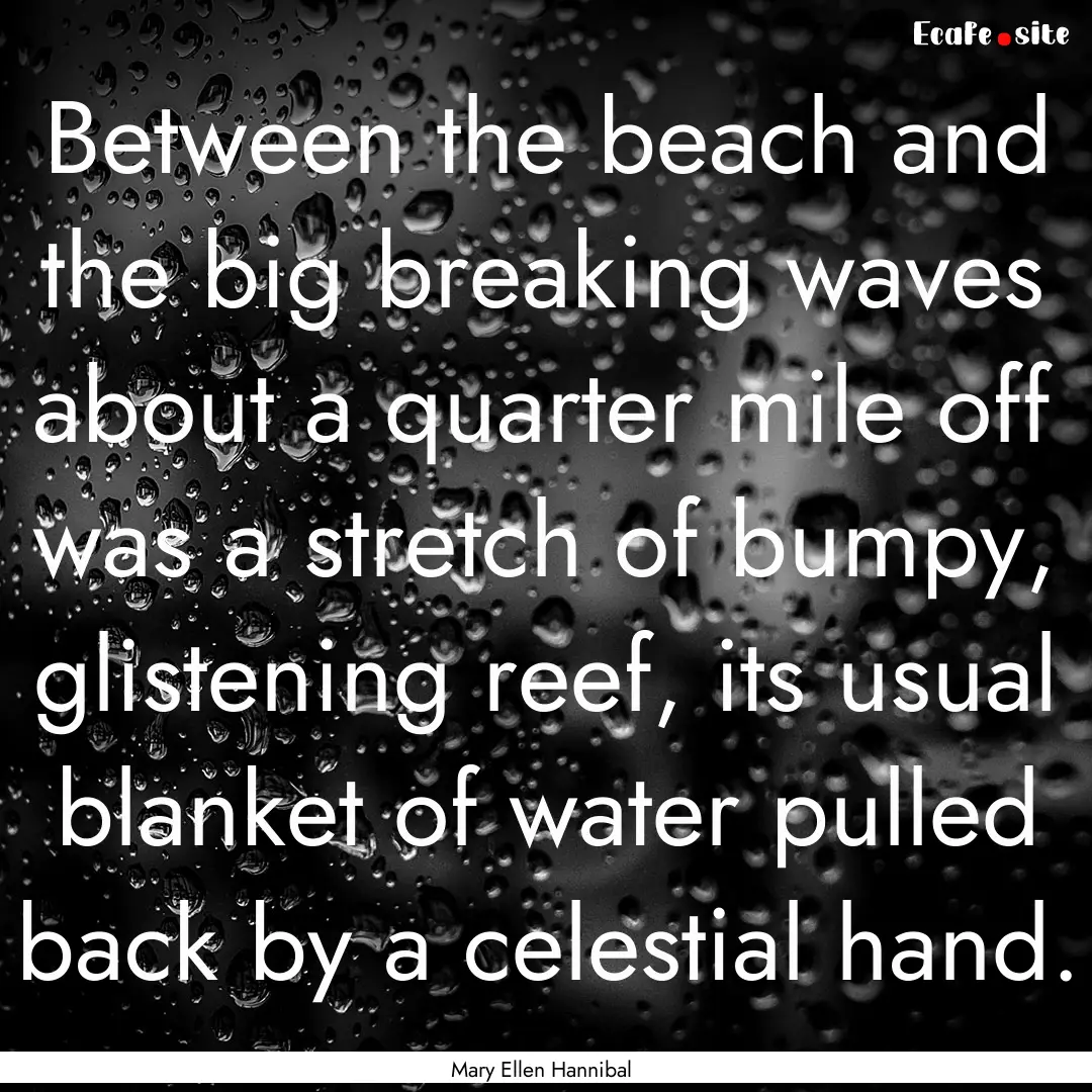 Between the beach and the big breaking waves.... : Quote by Mary Ellen Hannibal