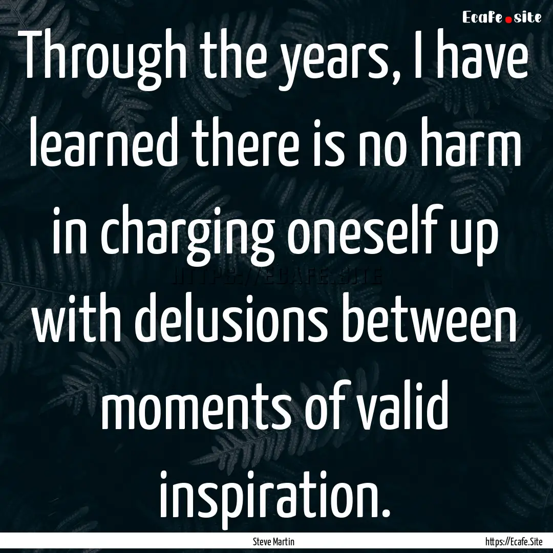 Through the years, I have learned there is.... : Quote by Steve Martin