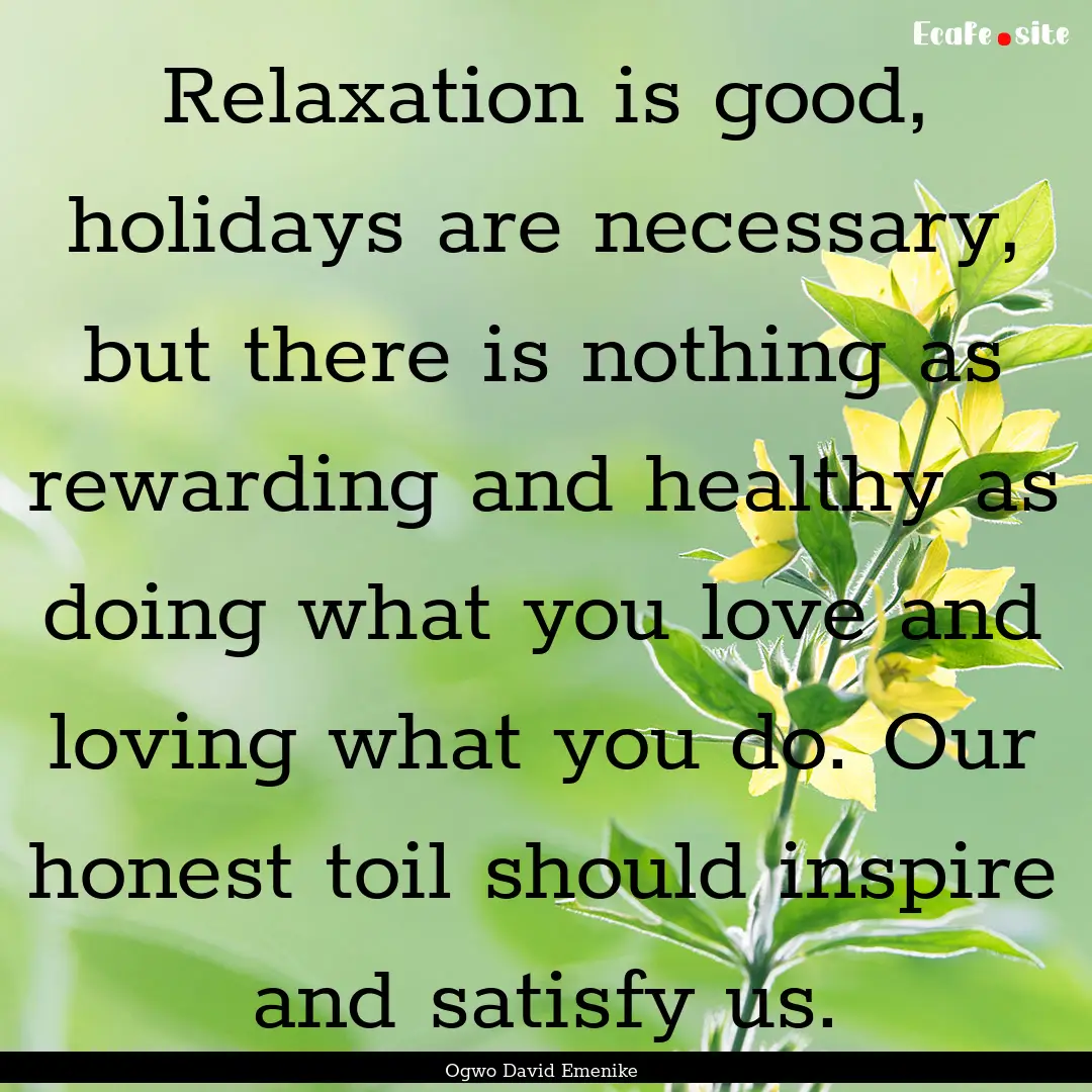 Relaxation is good, holidays are necessary,.... : Quote by Ogwo David Emenike