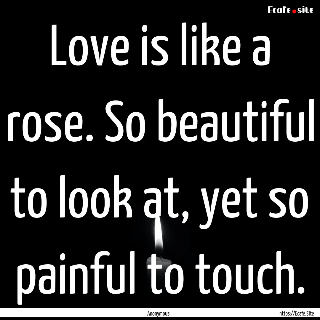 Love is like a rose. So beautiful to look.... : Quote by Anonymous