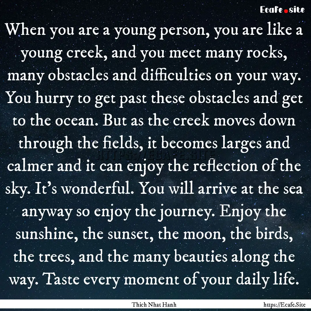 When you are a young person, you are like.... : Quote by Thich Nhat Hanh