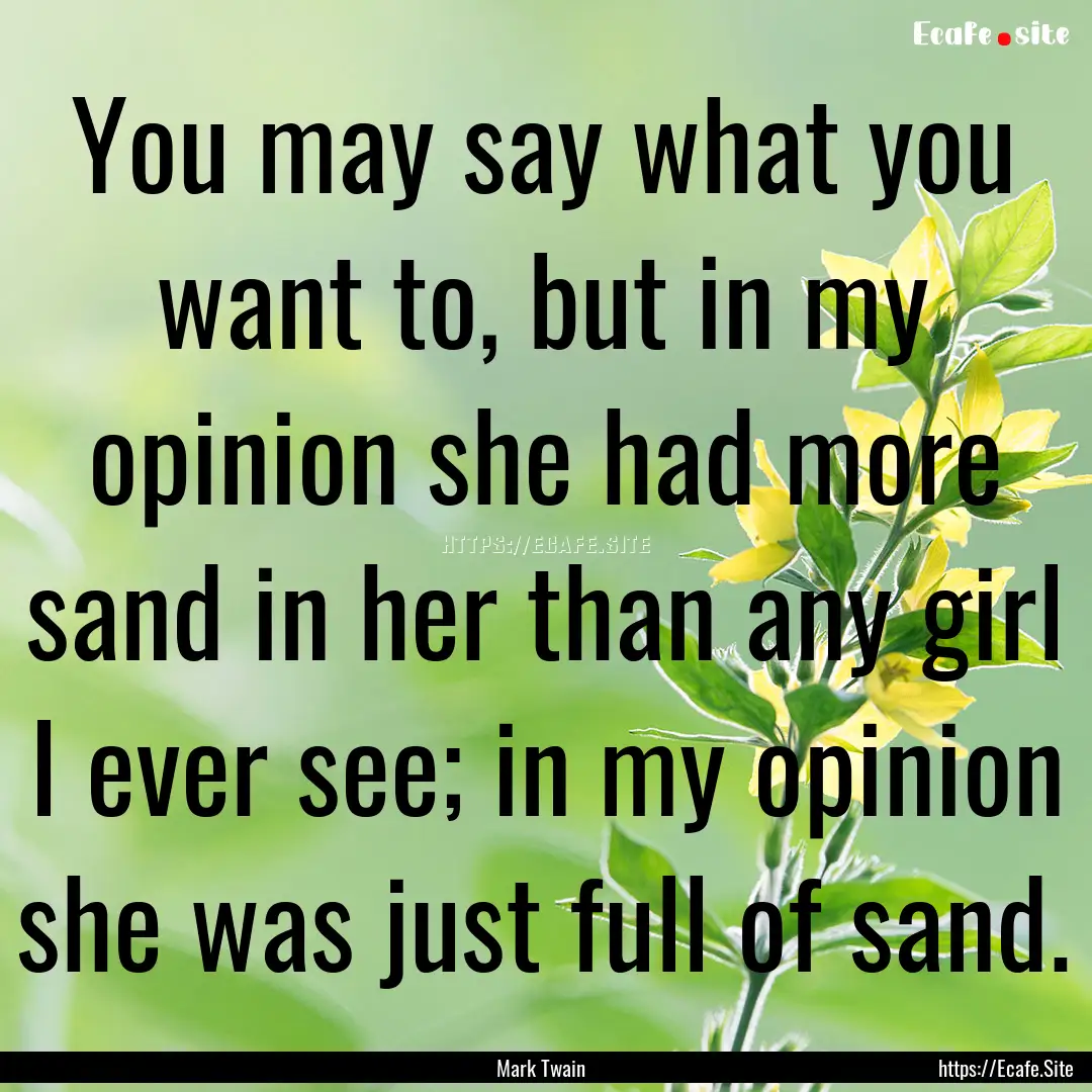 You may say what you want to, but in my opinion.... : Quote by Mark Twain