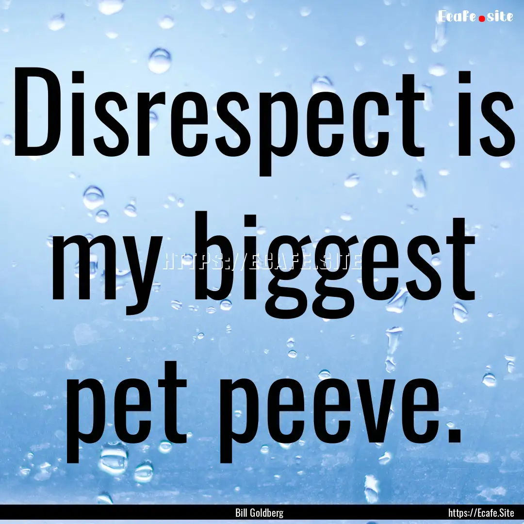 Disrespect is my biggest pet peeve. : Quote by Bill Goldberg