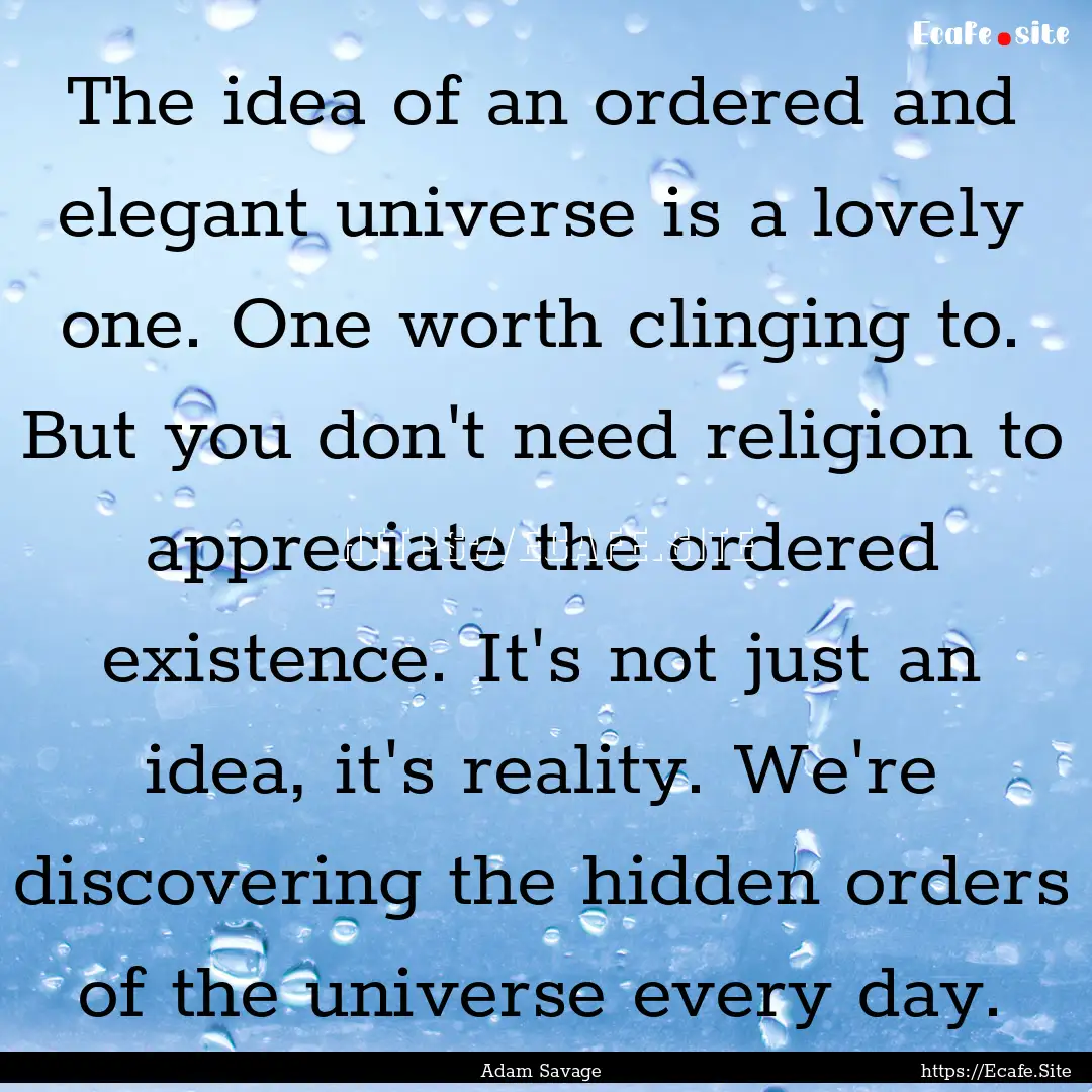 The idea of an ordered and elegant universe.... : Quote by Adam Savage