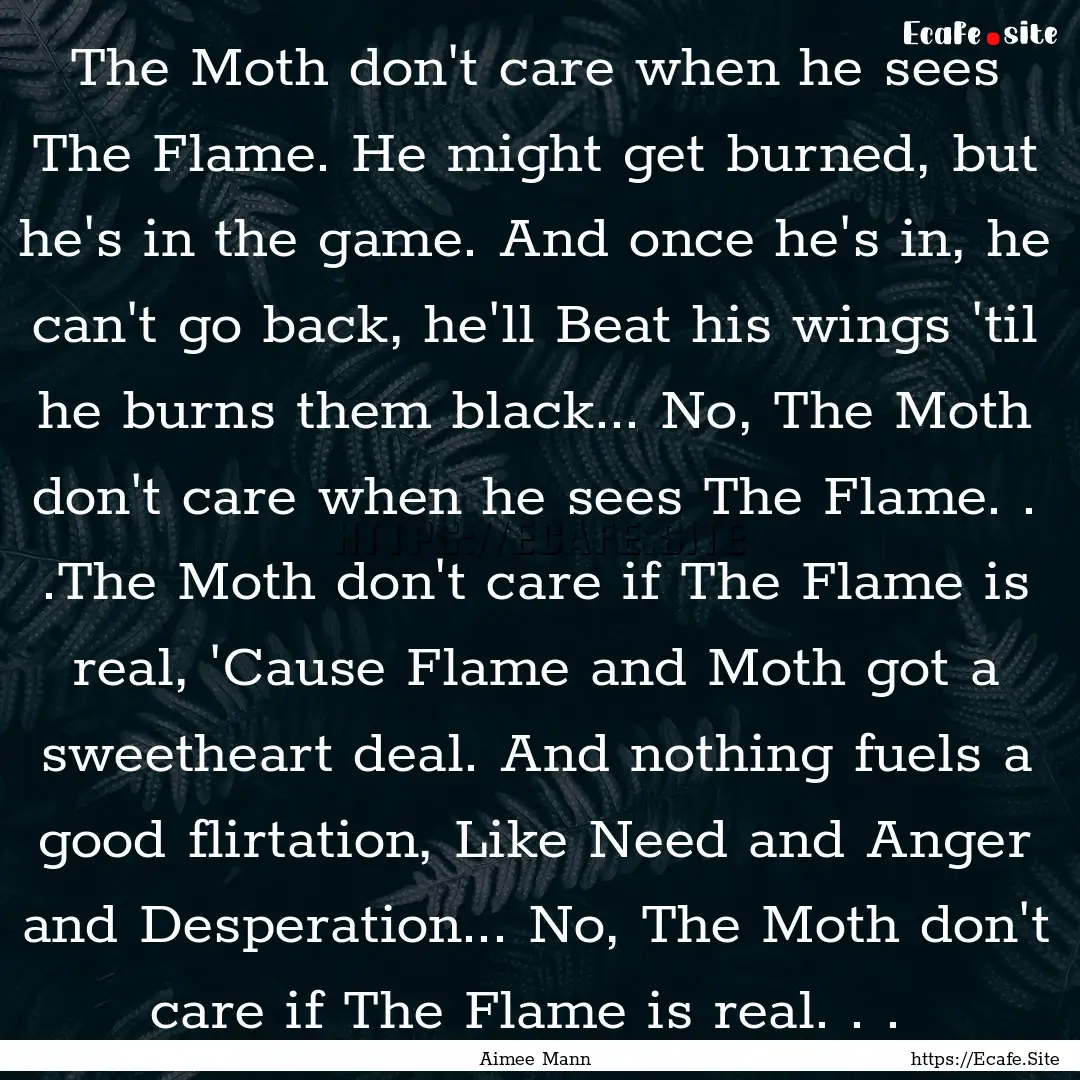 The Moth don't care when he sees The Flame..... : Quote by Aimee Mann