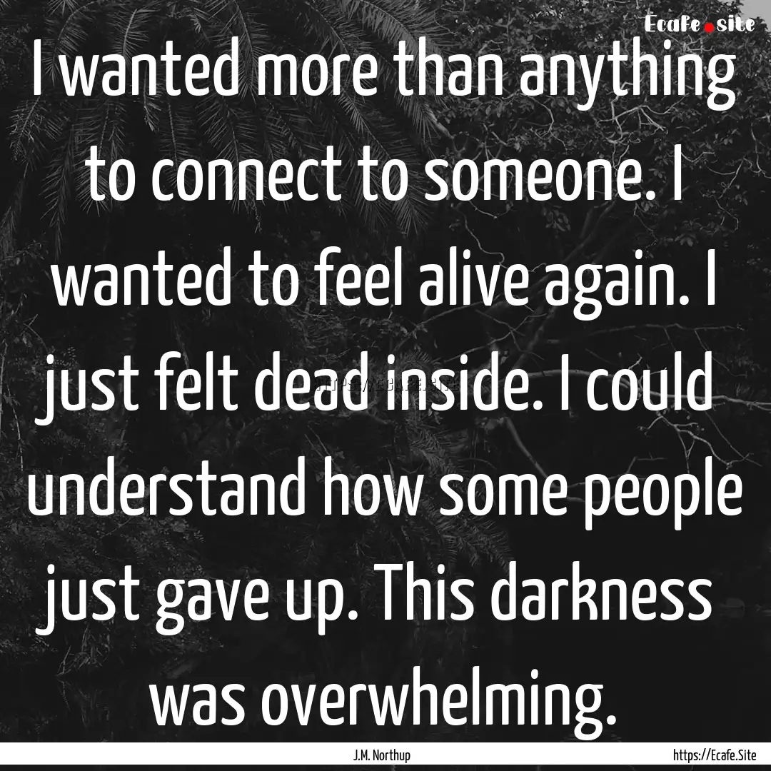 I wanted more than anything to connect to.... : Quote by J.M. Northup