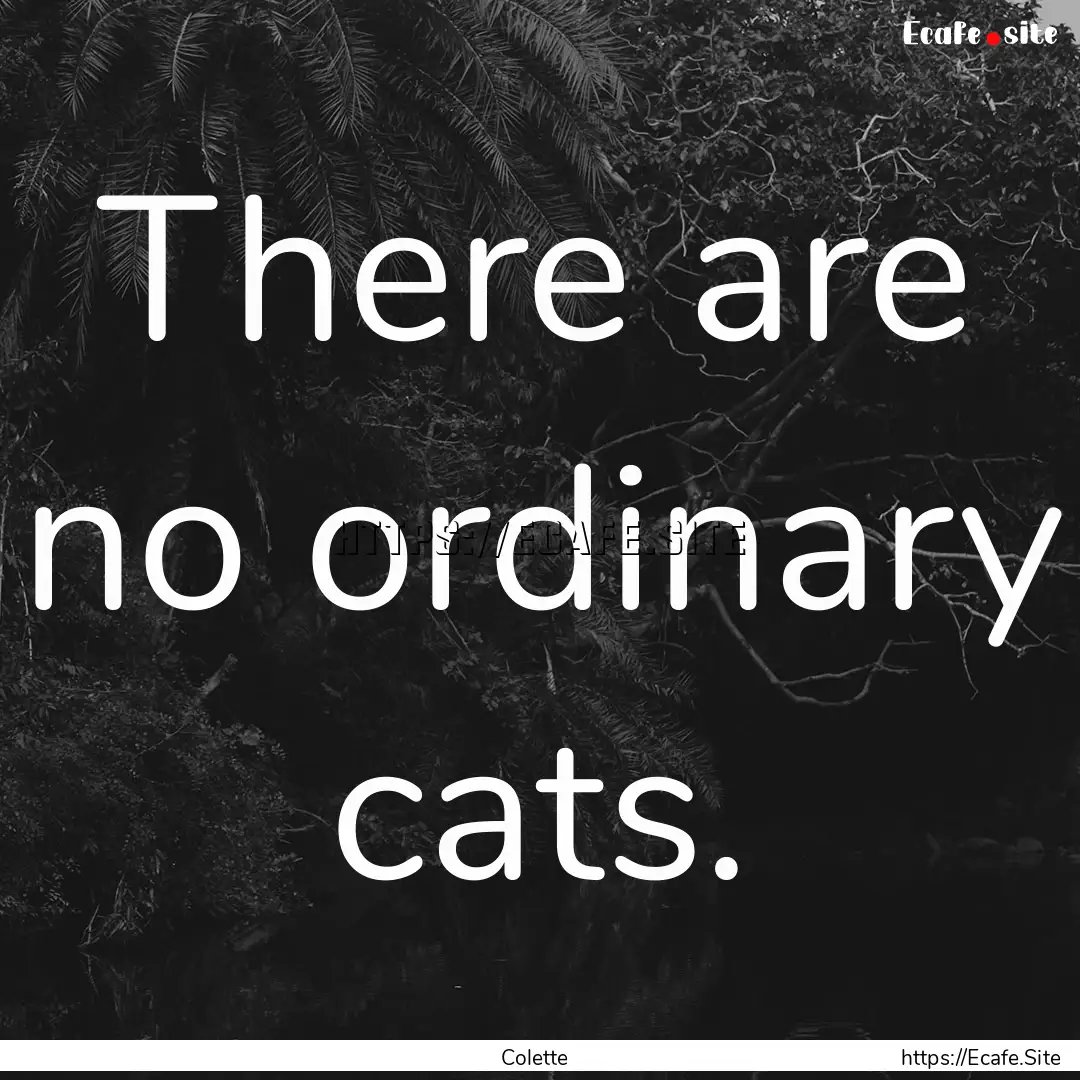 There are no ordinary cats. : Quote by Colette