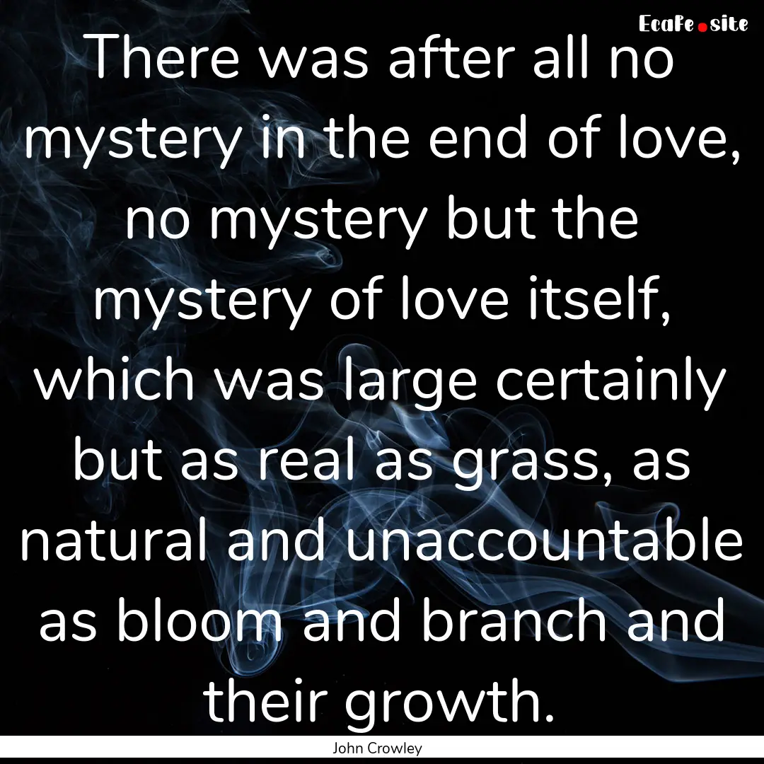 There was after all no mystery in the end.... : Quote by John Crowley