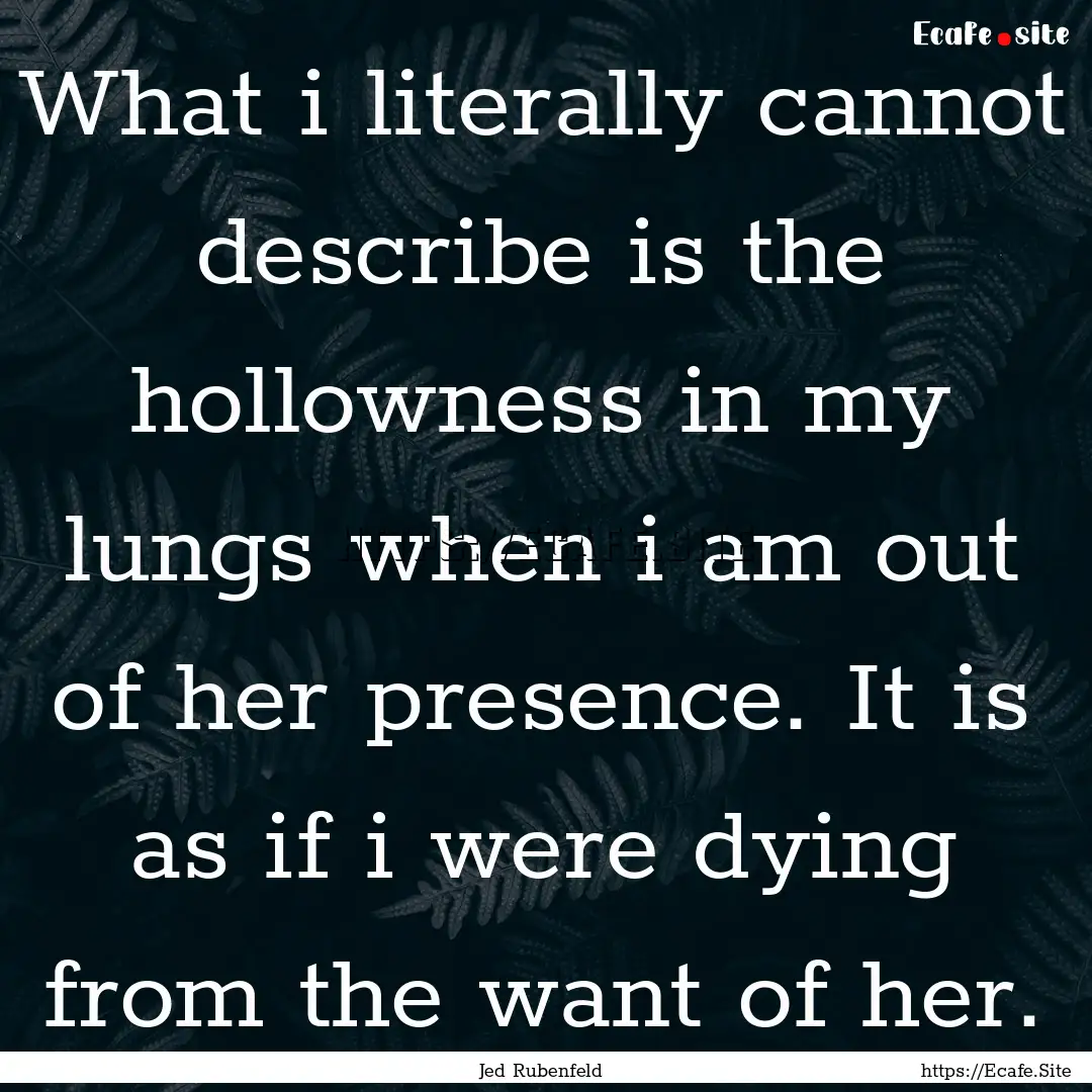 What i literally cannot describe is the hollowness.... : Quote by Jed Rubenfeld