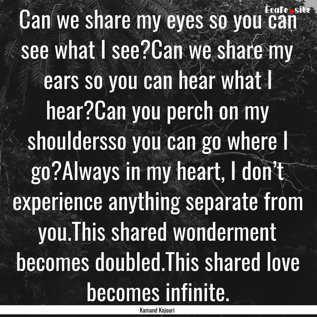 Can we share my eyes so you can see what.... : Quote by Kamand Kojouri