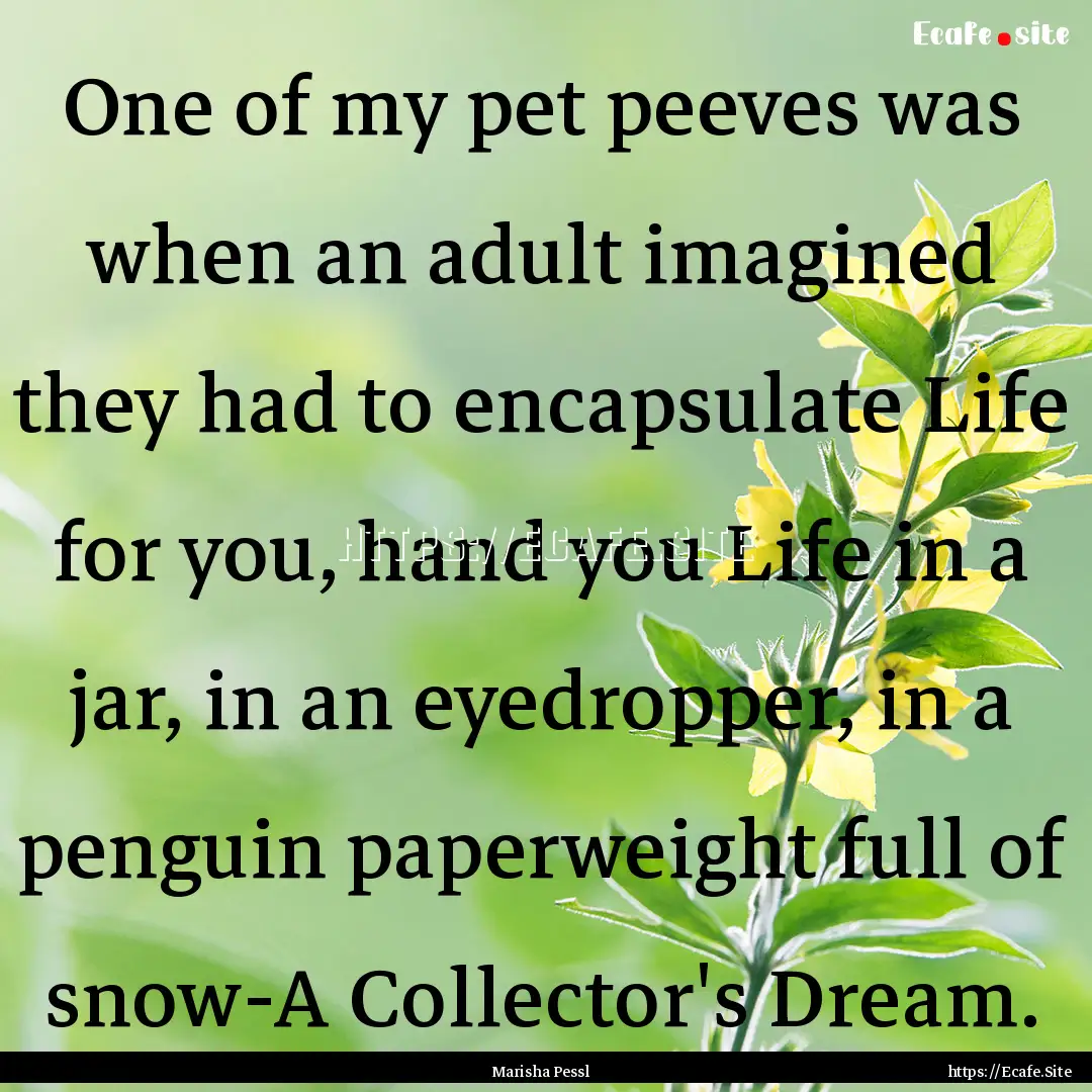 One of my pet peeves was when an adult imagined.... : Quote by Marisha Pessl