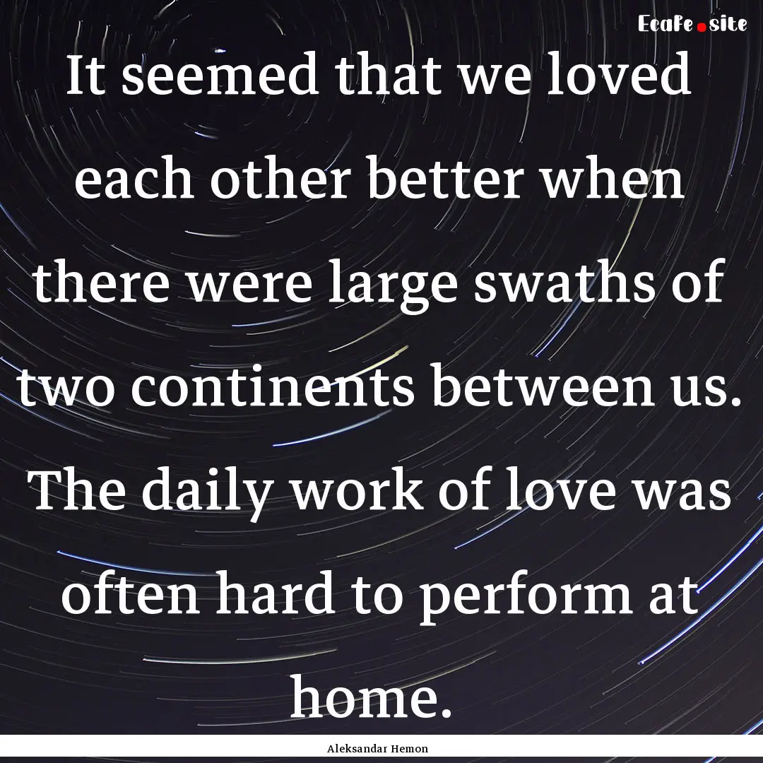 It seemed that we loved each other better.... : Quote by Aleksandar Hemon