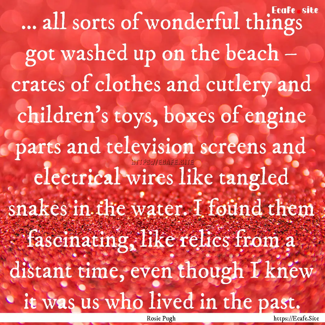 ... all sorts of wonderful things got washed.... : Quote by Rosie Pugh