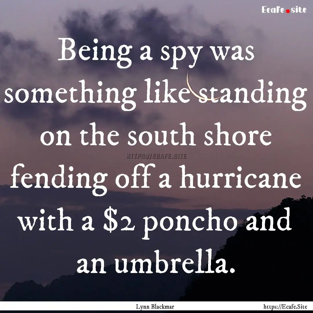 Being a spy was something like standing on.... : Quote by Lynn Blackmar