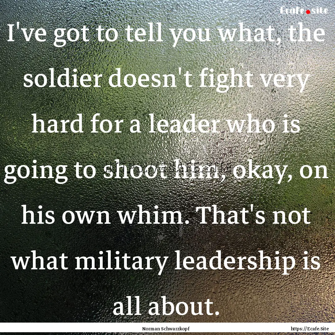 I've got to tell you what, the soldier doesn't.... : Quote by Norman Schwarzkopf