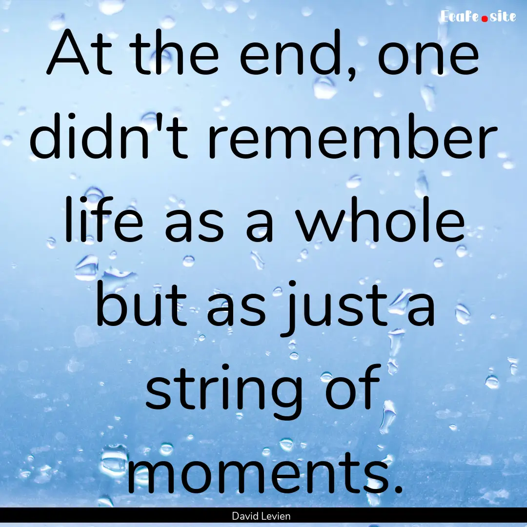 At the end, one didn't remember life as a.... : Quote by David Levien