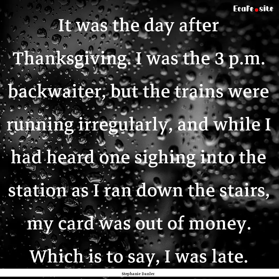 It was the day after Thanksgiving. I was.... : Quote by Stephanie Danler