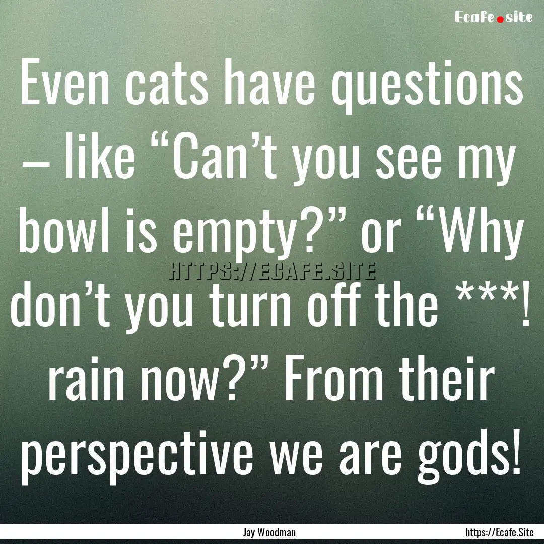 Even cats have questions – like “Can’t.... : Quote by Jay Woodman