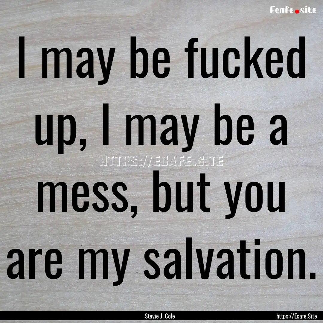 I may be fucked up, I may be a mess, but.... : Quote by Stevie J. Cole