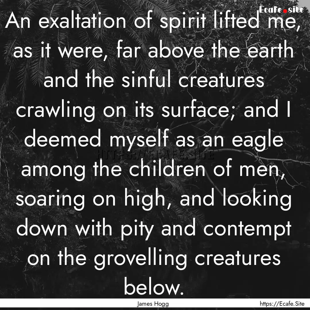 An exaltation of spirit lifted me, as it.... : Quote by James Hogg