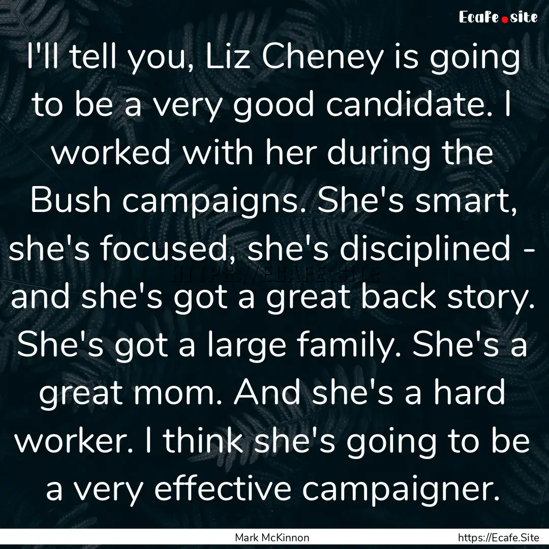 I'll tell you, Liz Cheney is going to be.... : Quote by Mark McKinnon