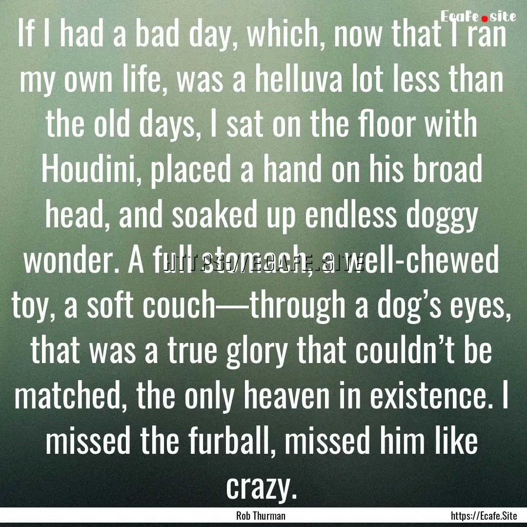 If I had a bad day, which, now that I ran.... : Quote by Rob Thurman