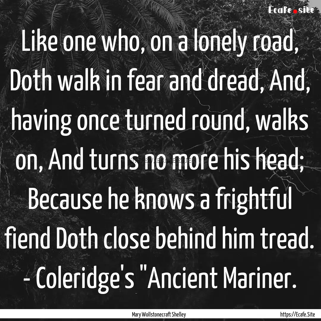 Like one who, on a lonely road, Doth walk.... : Quote by Mary Wollstonecraft Shelley