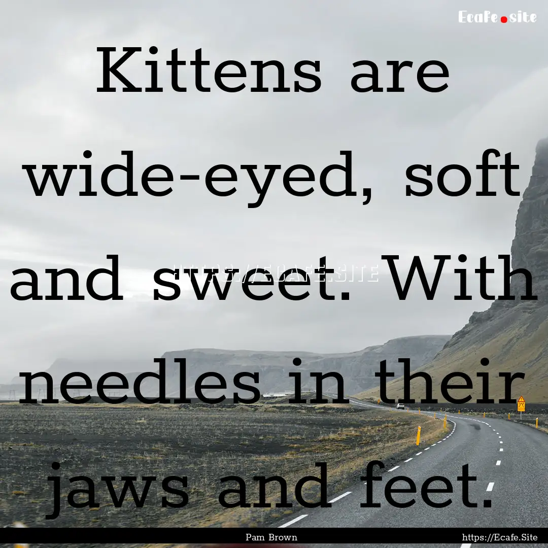 Kittens are wide-eyed, soft and sweet. With.... : Quote by Pam Brown