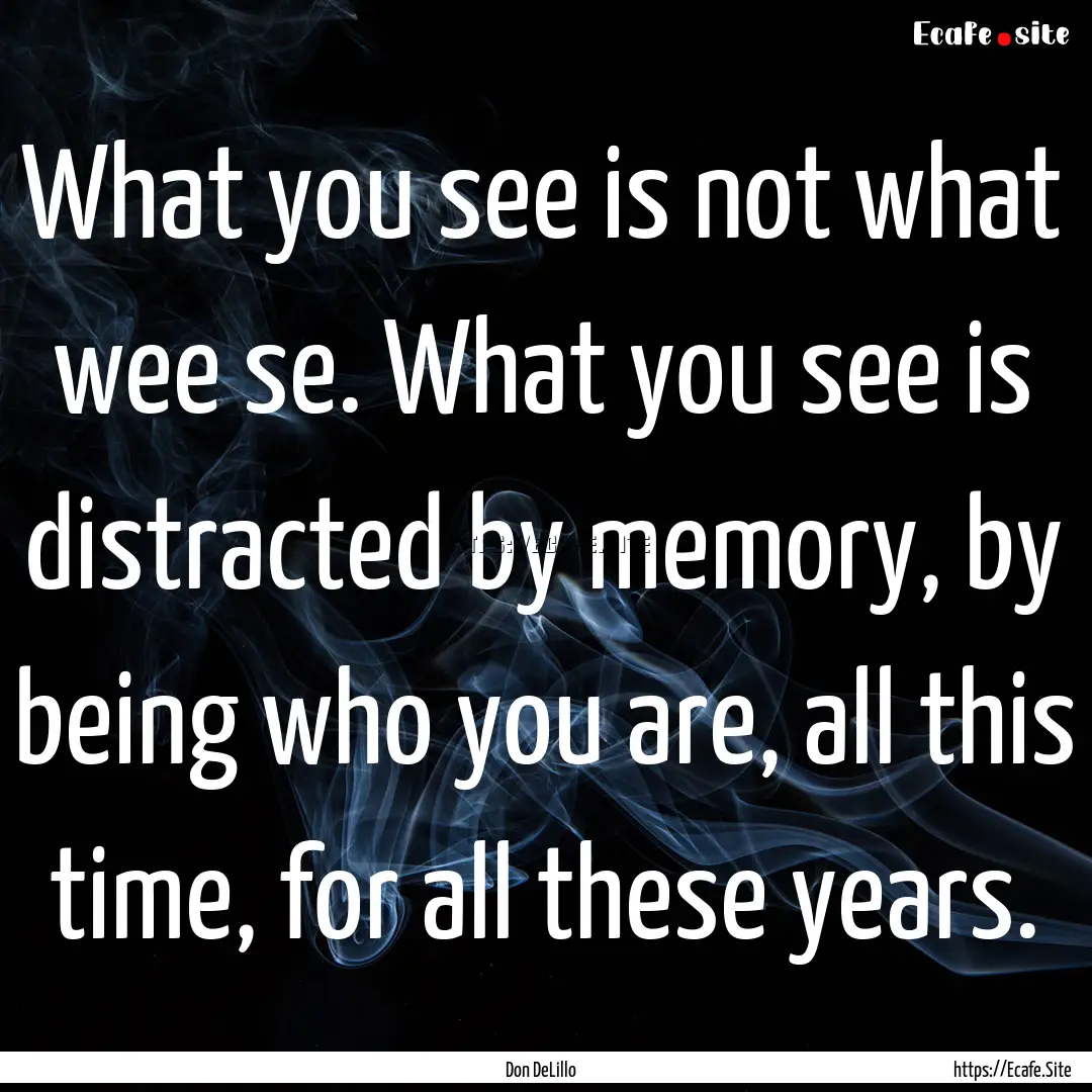 What you see is not what wee se. What you.... : Quote by Don DeLillo