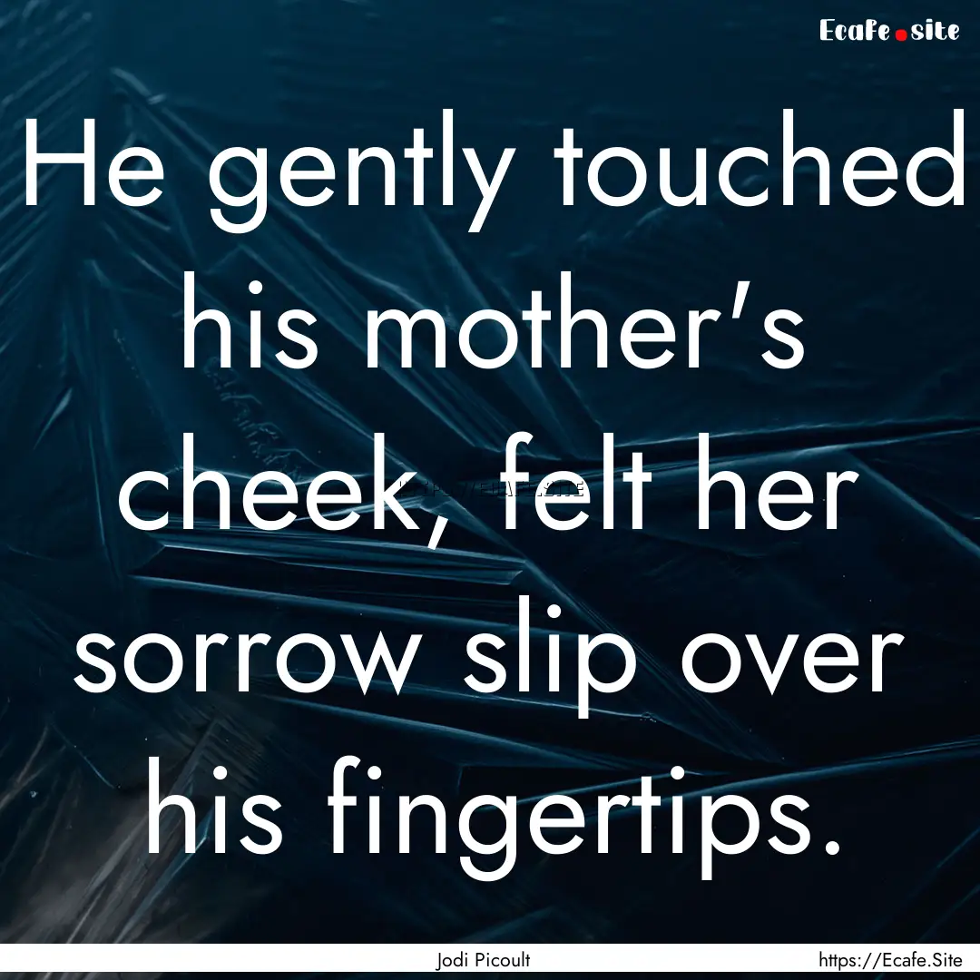 He gently touched his mother's cheek, felt.... : Quote by Jodi Picoult