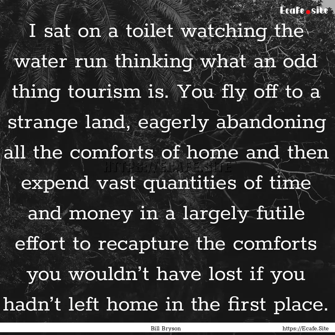 I sat on a toilet watching the water run.... : Quote by Bill Bryson