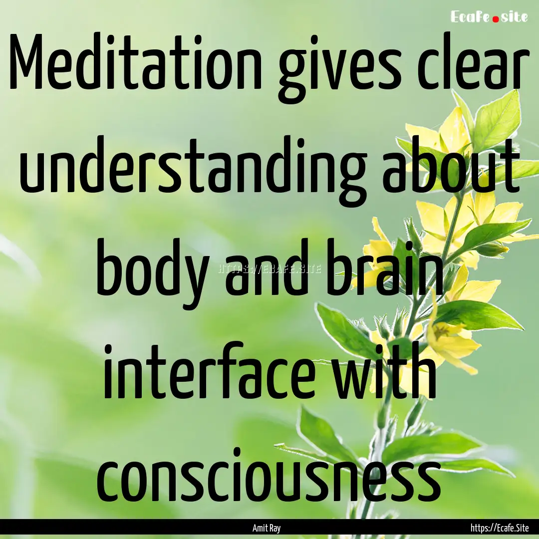 Meditation gives clear understanding about.... : Quote by Amit Ray