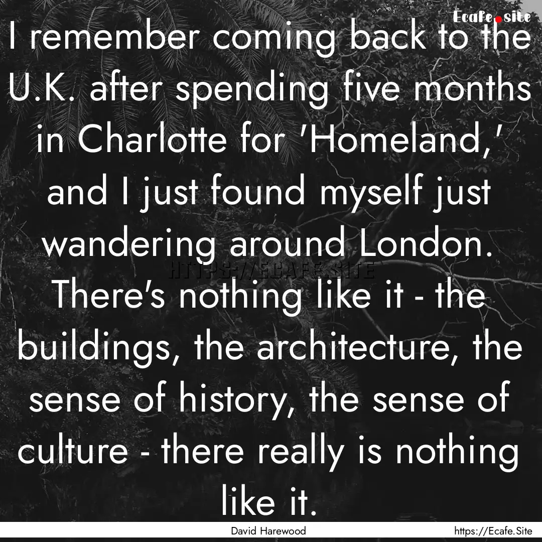 I remember coming back to the U.K. after.... : Quote by David Harewood