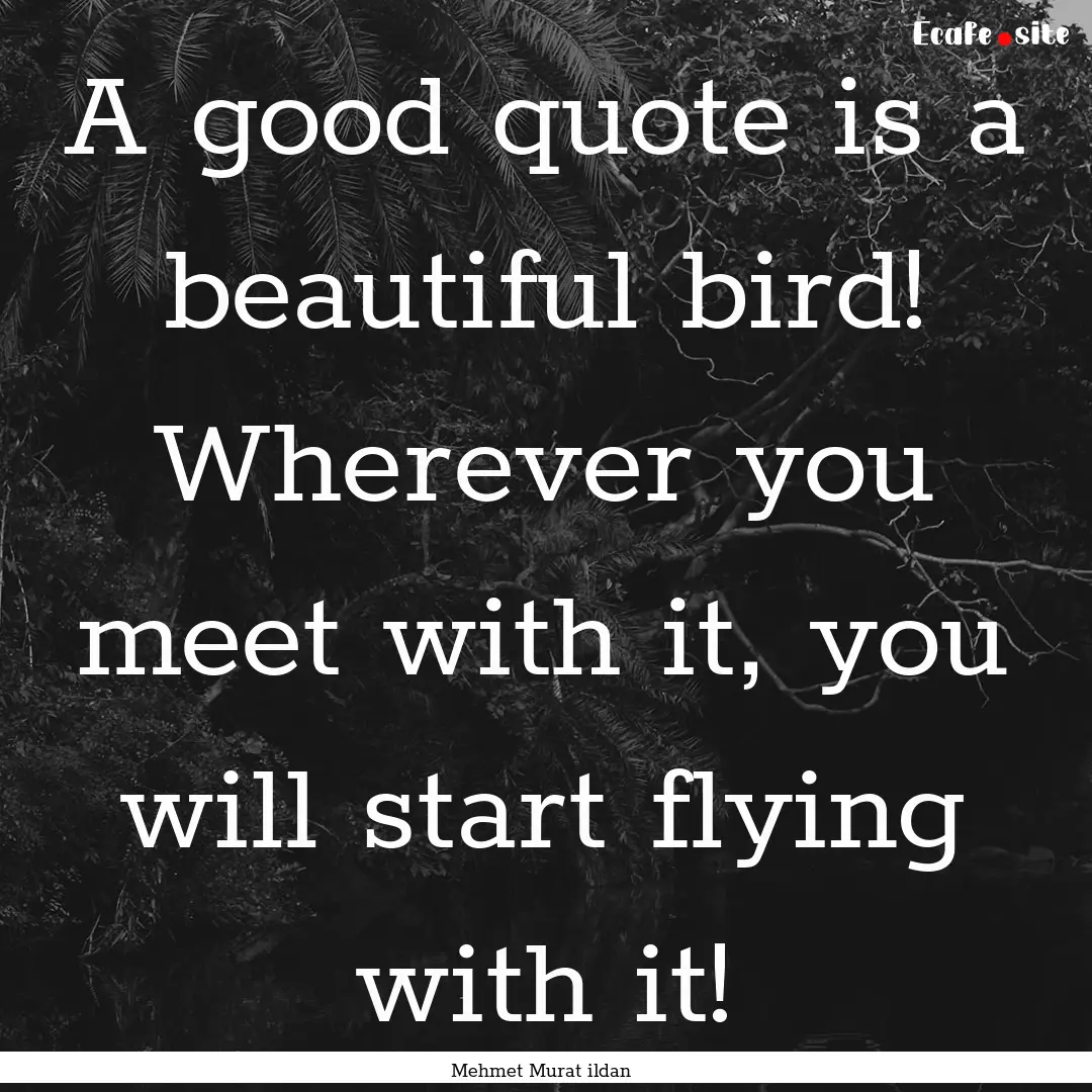 A good quote is a beautiful bird! Wherever.... : Quote by Mehmet Murat ildan