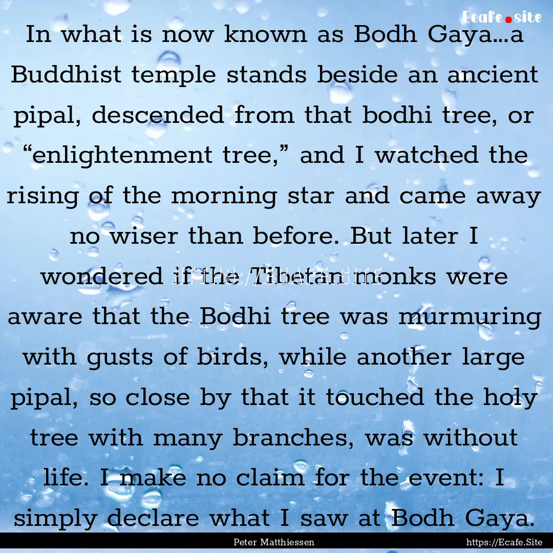 In what is now known as Bodh Gaya…a Buddhist.... : Quote by Peter Matthiessen