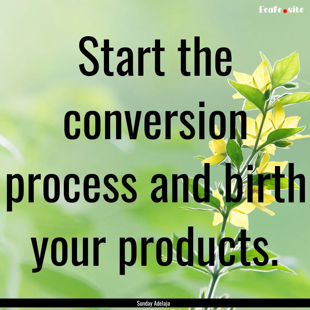 Start the conversion process and birth your.... : Quote by Sunday Adelaja