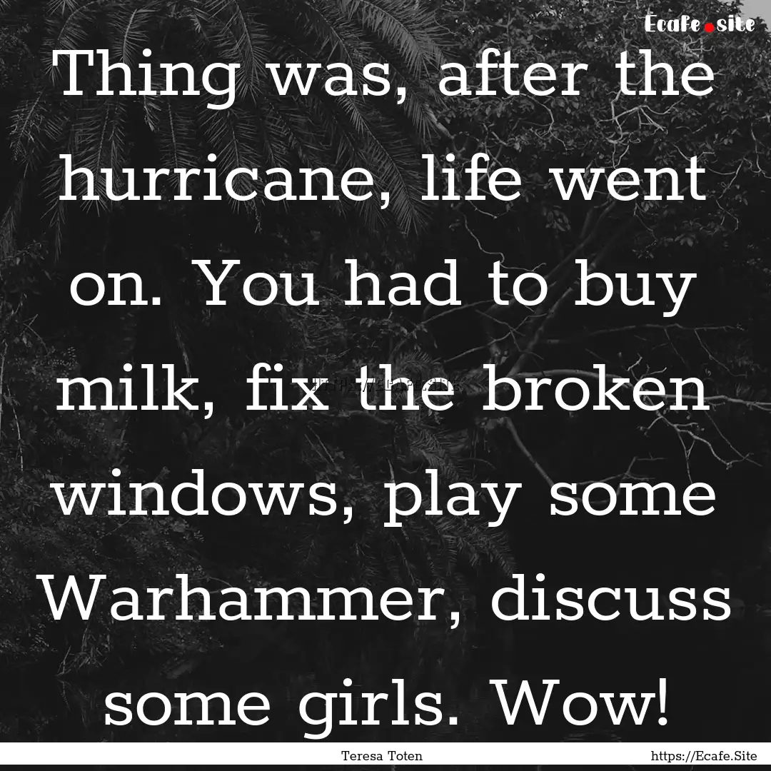 Thing was, after the hurricane, life went.... : Quote by Teresa Toten