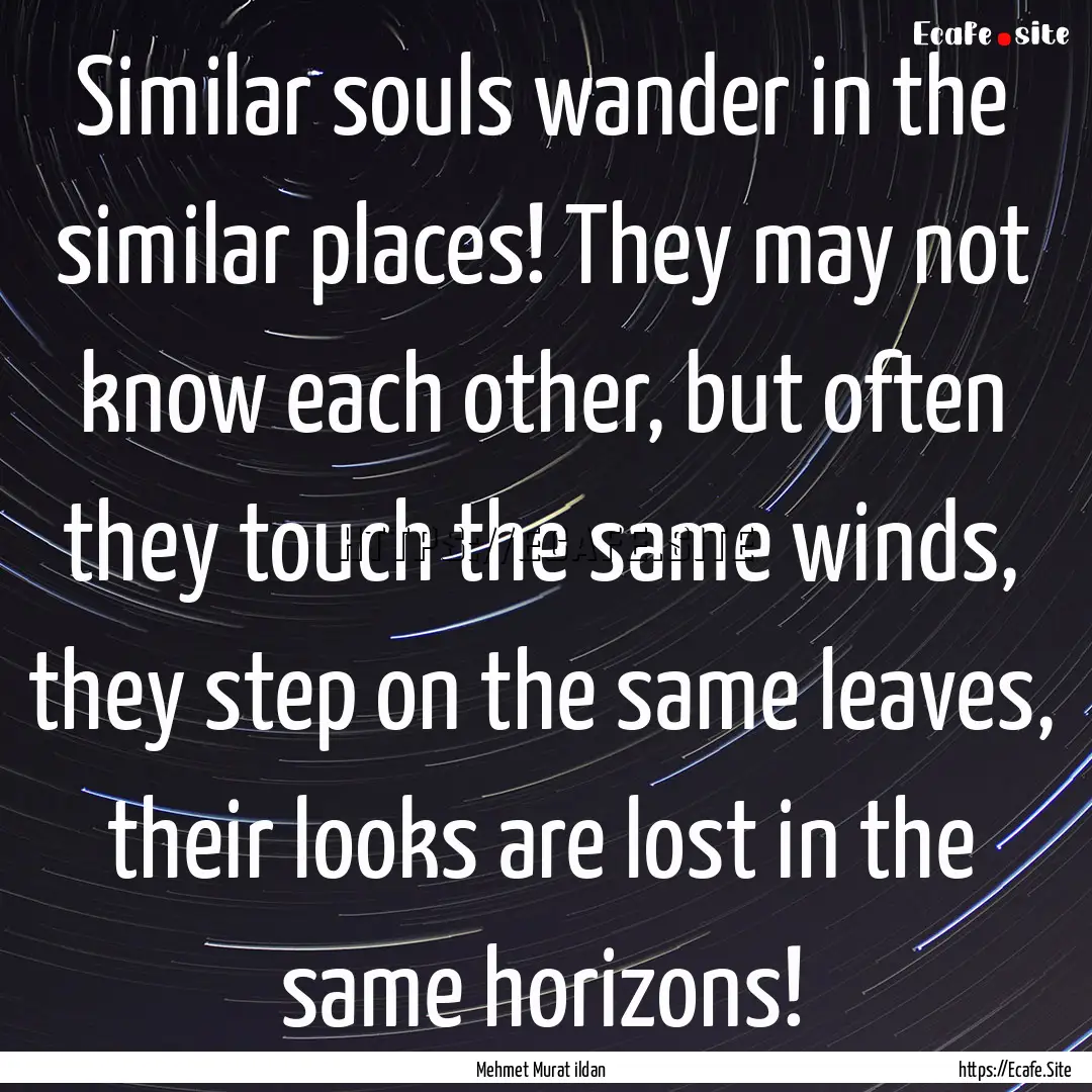 Similar souls wander in the similar places!.... : Quote by Mehmet Murat ildan