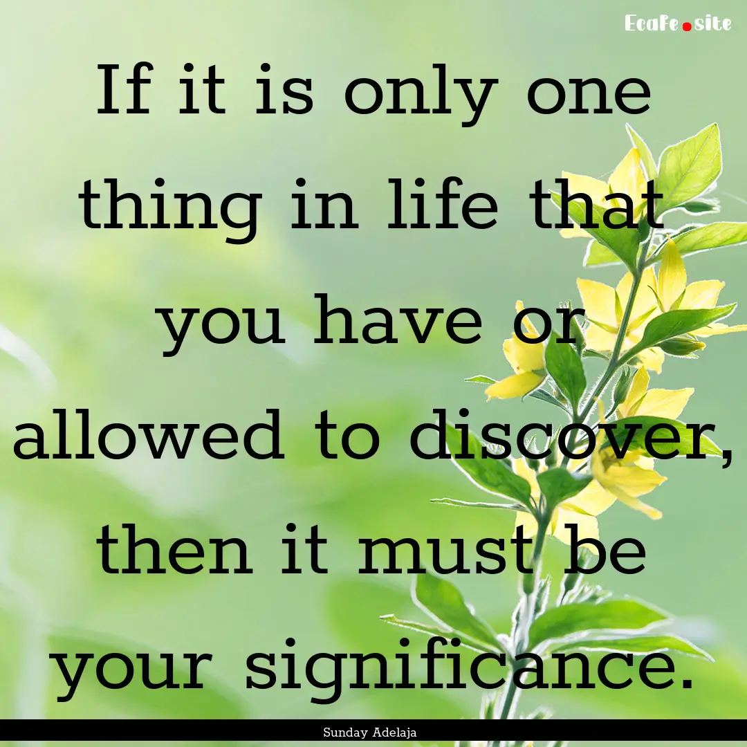 If it is only one thing in life that you.... : Quote by Sunday Adelaja