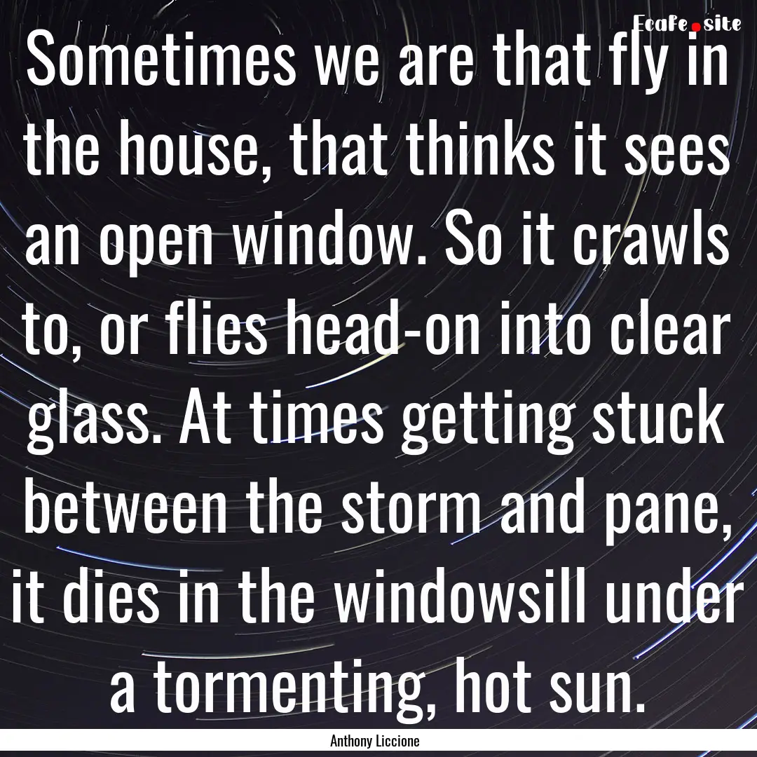 Sometimes we are that fly in the house, that.... : Quote by Anthony Liccione