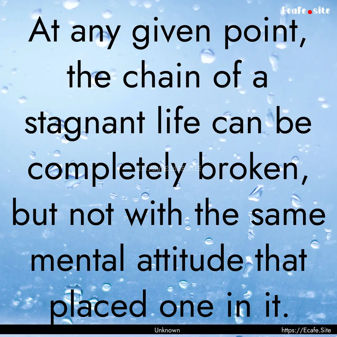 At any given point, the chain of a stagnant.... : Quote by Unknown