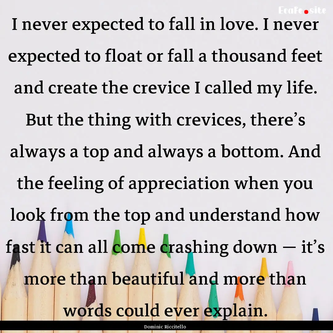 I never expected to fall in love. I never.... : Quote by Dominic Riccitello